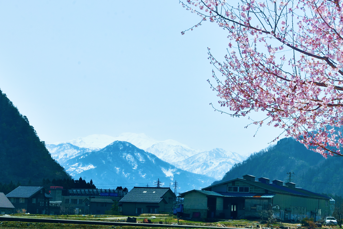 白山